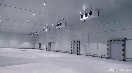 北京执钢结构厂房冷冻库拆除回收计划及制冷设备全面清理冷库板